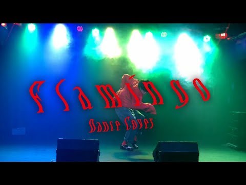 米津玄師 Flamingo ステージで踊ってみた【ロクハ】