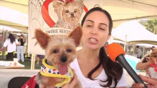 "2 THE RESCUE" Ep. 4 (Yorkie Rescue)