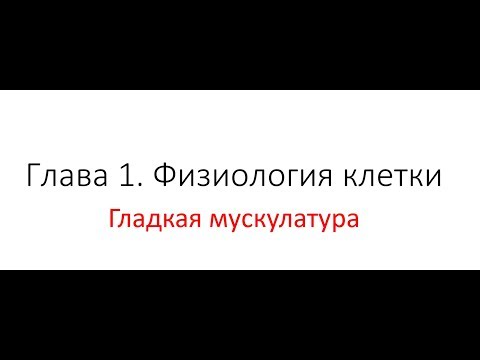 ПЕРЕЗАЛИВ! Гладкая мускулатура.