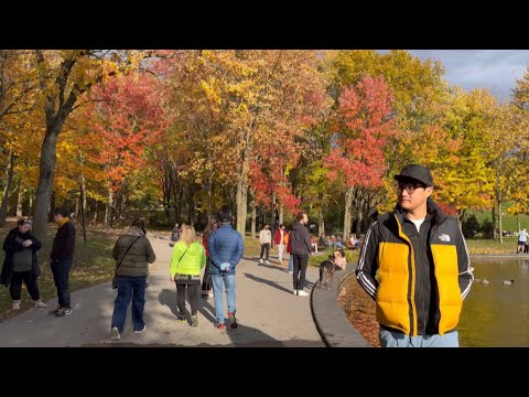 MONTREAL Autumn Walking Tour (4K) - October 15, 2022 - YouTube