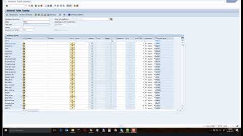 2 New Transaction SE16H - Demo