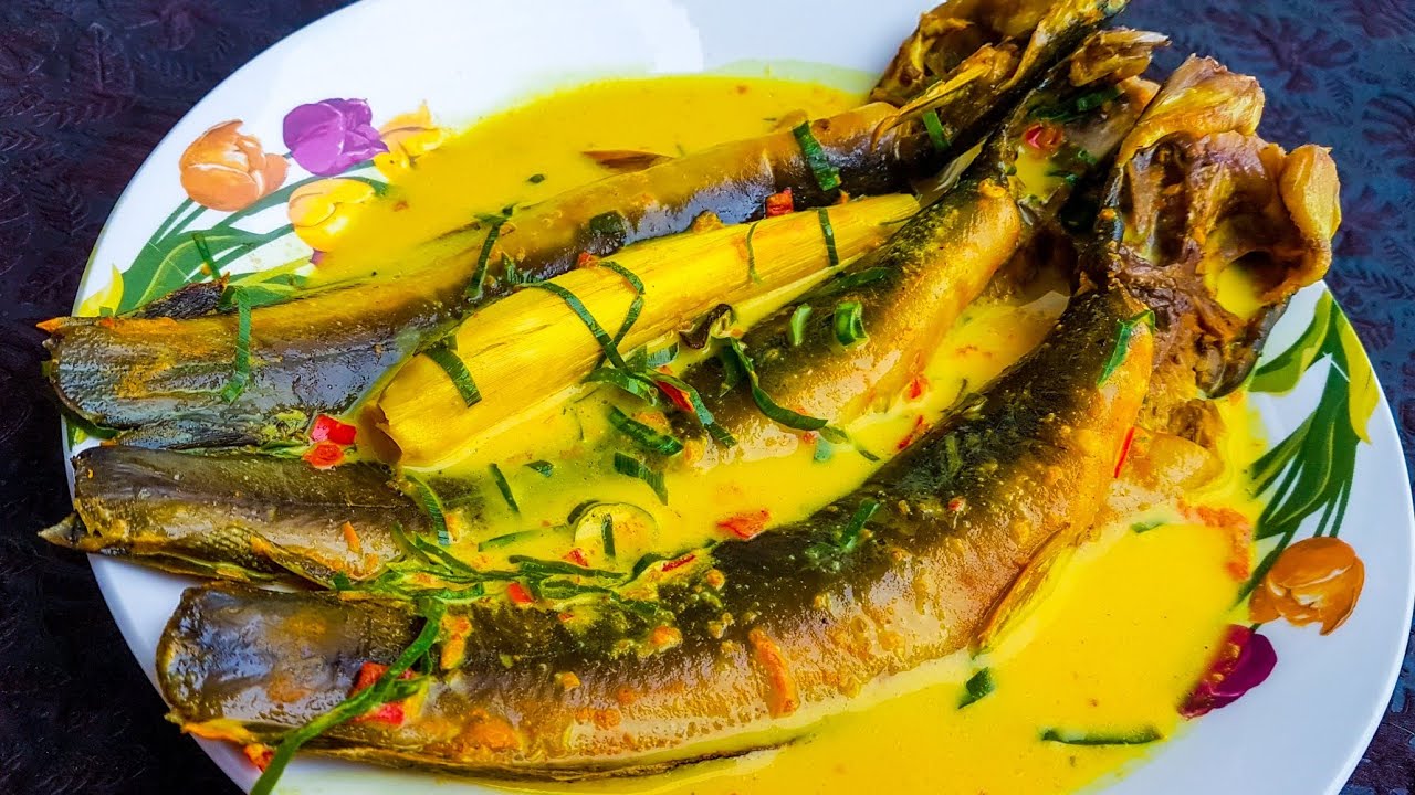 Ikan Keli Salai Lemak Cili Api Negeri Sembilan Teknik Cara Salai Sendiri Di Rumah Menggunakan Oven Youtube