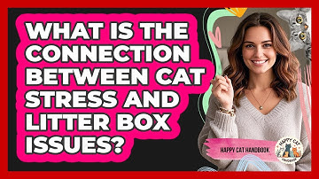 What Is The Connection Between Cat Stress And Litter Box Issues? - Happy Cat Handbook