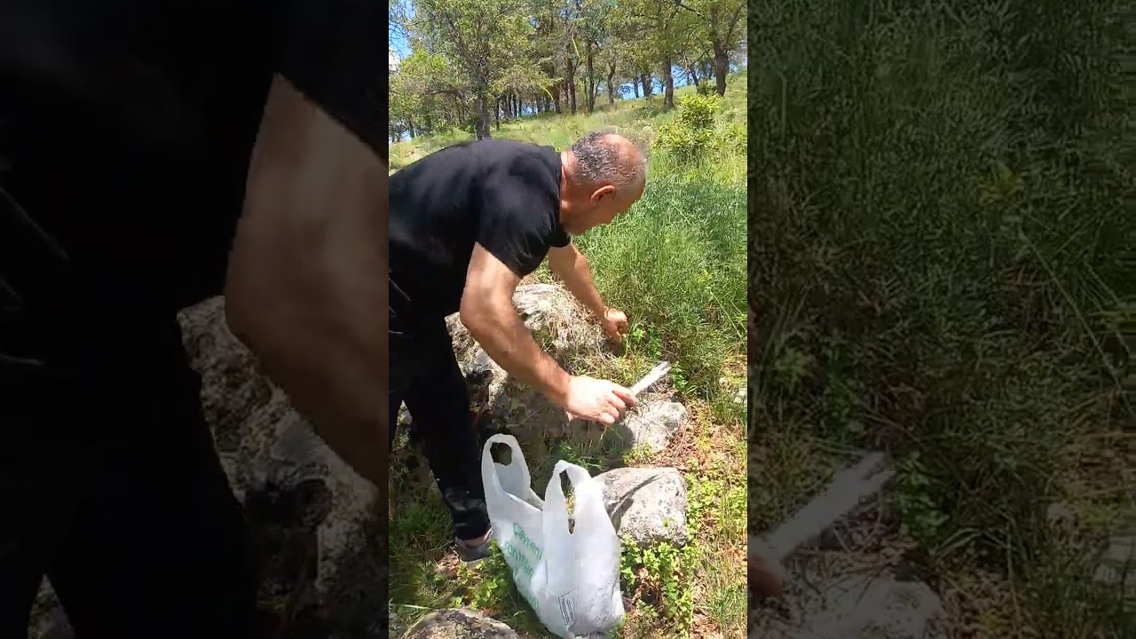 jir pazarı da kekik toplayarak geçirdik