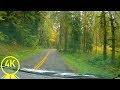 Gambar cover Scenic Drive 4K 60fps - Rainy Roads of Olympic National Park - 1 Hour Road Trip