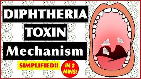 Diphtheria Toxin Mechanism of Action