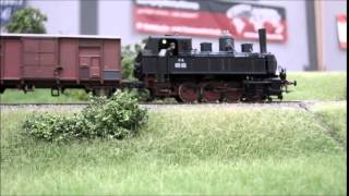 FS 893 005 FREMO:87 Schutterwald 2015