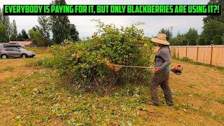 OVERGROWN Blackberries Are STEALING Storage Space, So I MOWED THEM! Blackberry Mulching by Golovin Property Services 980 views 8 months ago 13 minutes, 18 seconds