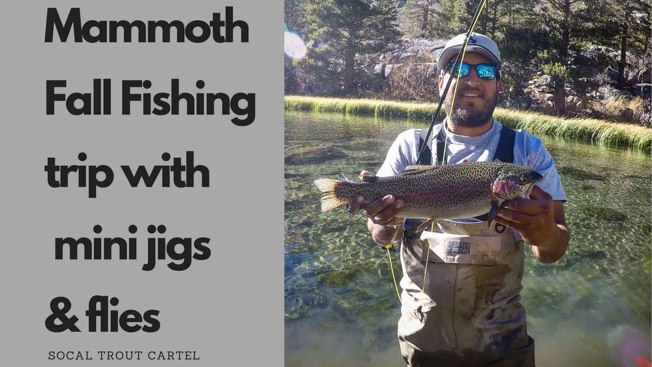 Fall fishing in Mammoth with mini jigs and flies 