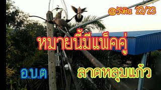 เช้านี้​@วังหิน​เก็บแพ็คคู่​ให้ครับ