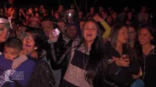 Island University Celebrates 2014 Homecoming Week