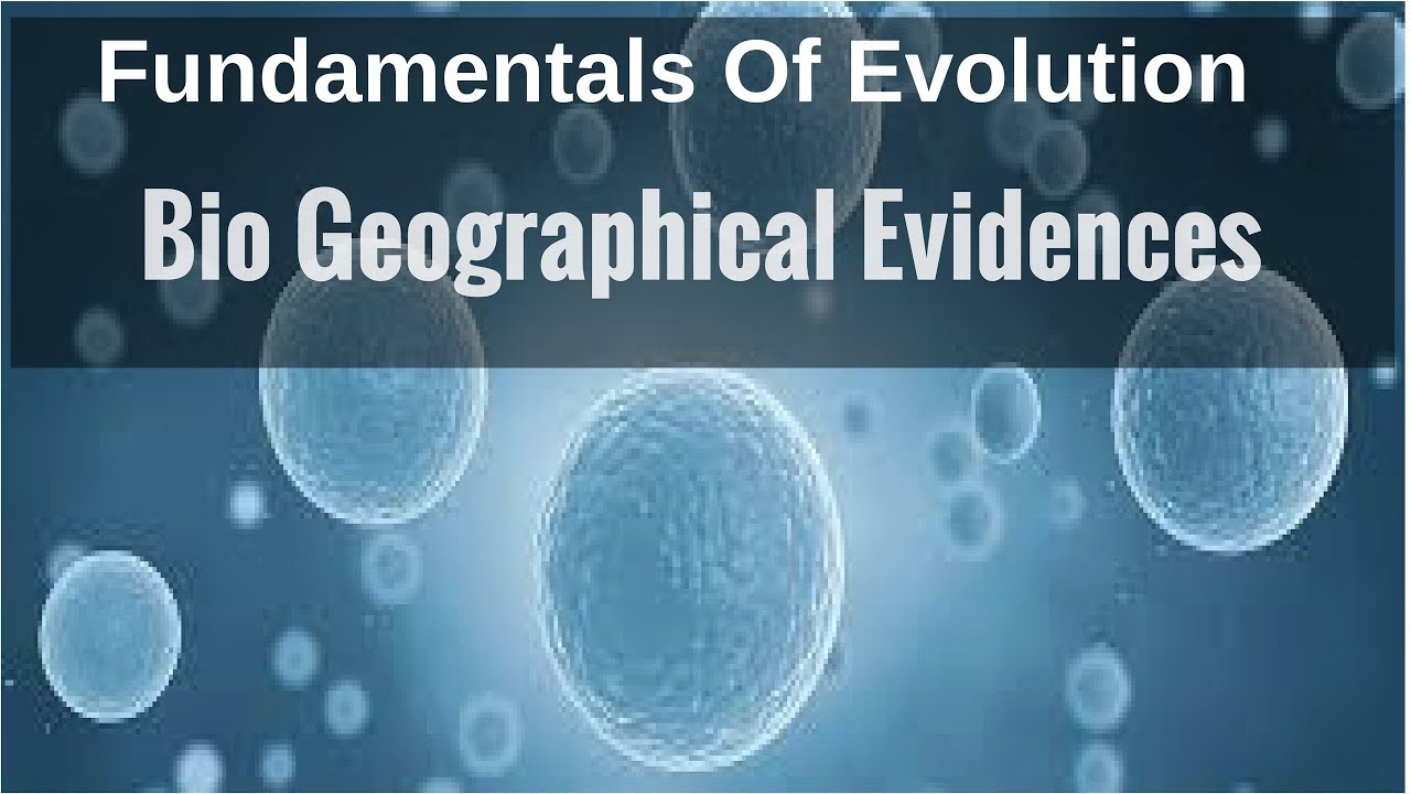 Bio Geographical Evidences - YouTube