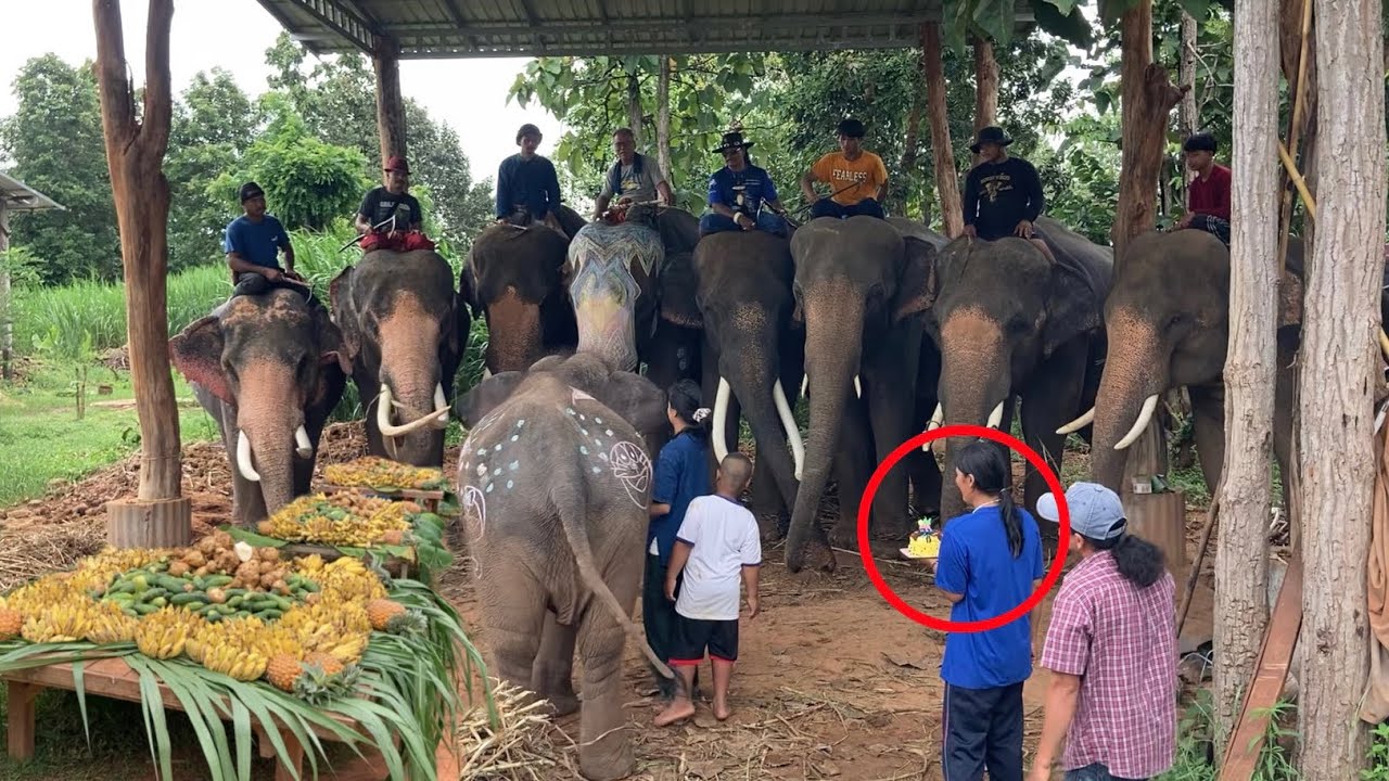 จะเกิดอะไร❓ขึ้น เมื่อ!! สุพรรษา เข้ามาป่วน❗️งานวันเกิด⁉️