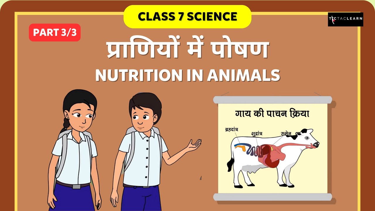 प्राणियों में पोषण | Nutrition In Animals | Part 3/3 | Class 7 Science Chapter 2 | TicTacLearn