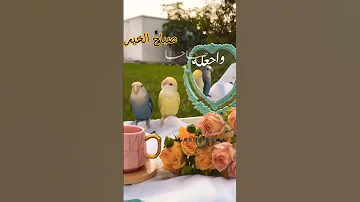 حالات واتس اب صباح الخير دعاء الصباح يسعد الله صباحكون 
