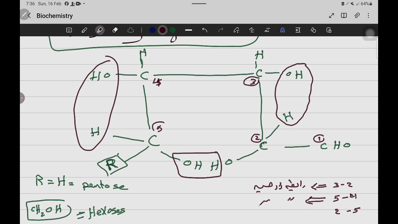 تفاعلات السكريات الاحادية (تأثير الوسط الحامضي القوي غير مؤكسد) تجفيف السكر