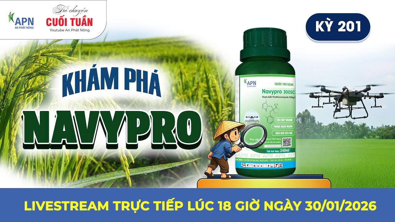 APN - KHÁM PHÁ NAVYPRO | TRÒ CHUYỆN CUỐI TUẦN KỲ 201