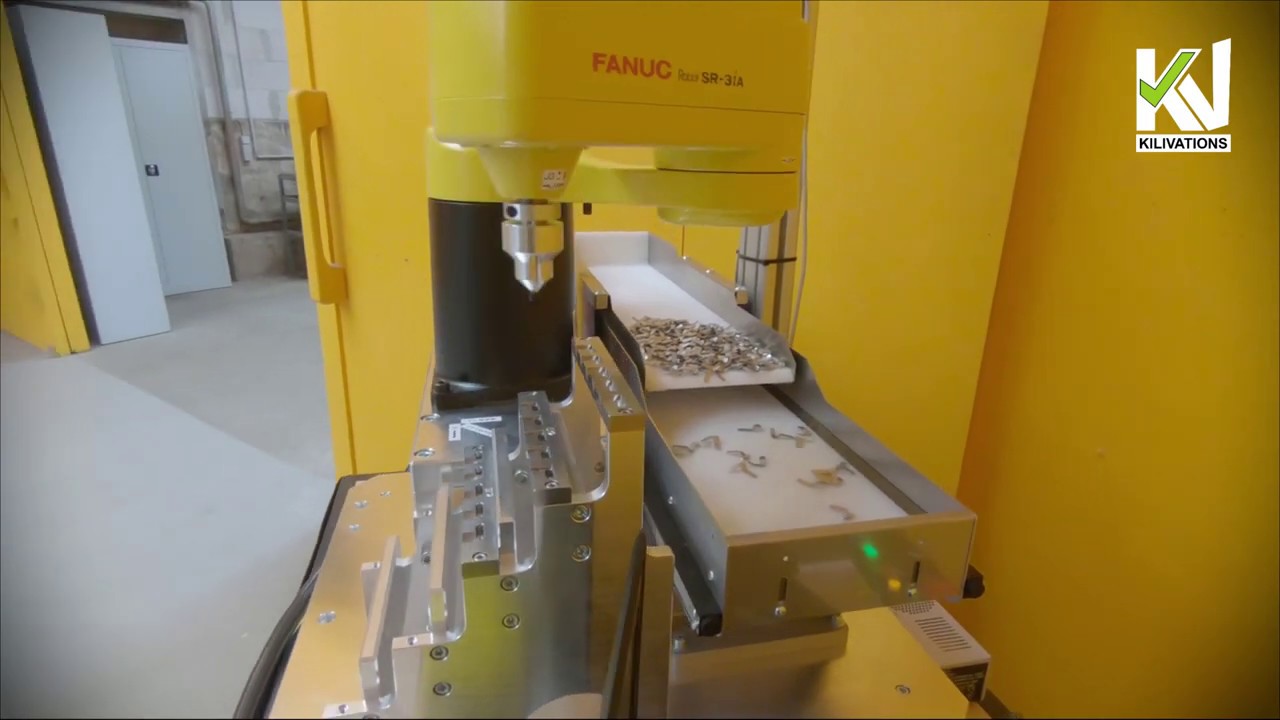 FANUC Scara & FLEXFACTORY Anyfeed - Schüttgut Vereinzelung