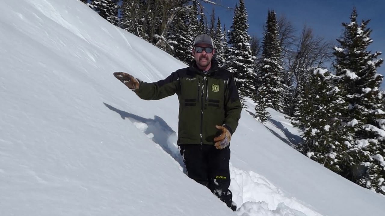 Warm, Windy, New Snow; Buck Ridge - 10 March 2020