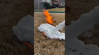 Foam Blanket Stops Grass Fire #fyp #GrassFire #FireSafety #EmergencyResponse #HomeProtection