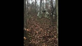 IMG 4478