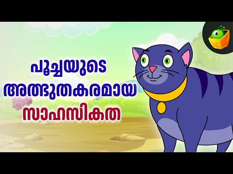 പൂച്ചയുടെ അത്ഭുതകരമായ സാഹസികത | Cat's Amazing Adventures | Watch Fun Malayalam Cat Stories for Kids