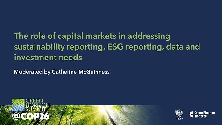 The role of capital markets in addressing sustainability reporting