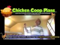 How To Build Chicken Coop (Urban Chicken Coop) How To Build Chicken Coop (Urban Chicken Coop)