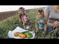 [Special Picnic] Mori, Donal And Moly Happy With Their Snacks While Tripping