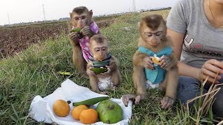 [Special Picnic] Mori, Donal And Moly Happy With Their Snacks While Tripping