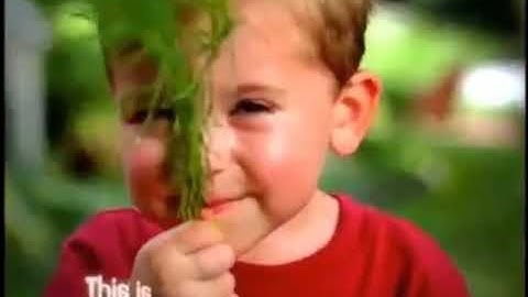 Opening & Closing to Walk Around the Block with Barney 2002 VHS