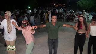 Haydi̇ Horona