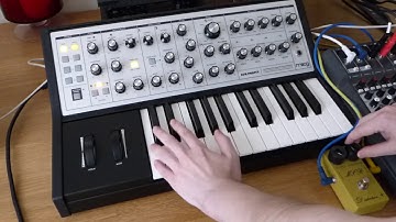 Moog Sub Phatty & MXR Distortion+ CSP104