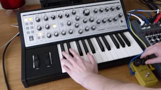 Moog Sub Phatty & MXR Distortion+ CSP104