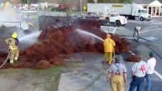 Pine Straw Fire Full Video