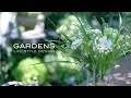GARDENS | 野の花で作る摘み草ブーケ | 日常を豊かにするフラワーアレンジ【ガーデンズ 】
