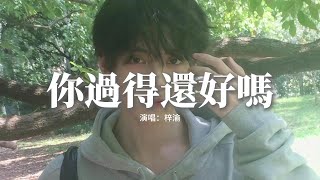 梓渝 - 你過得還好嗎『天邊升起煙花，再美好也只是一剎那，隨着風散了，心逃離黑夜了。』【動態歌詞MV】