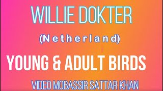 Willie Dokter Young & Adult Birds by Parrots Hobby & Tourism  2,253 views 3 years ago 24 minutes