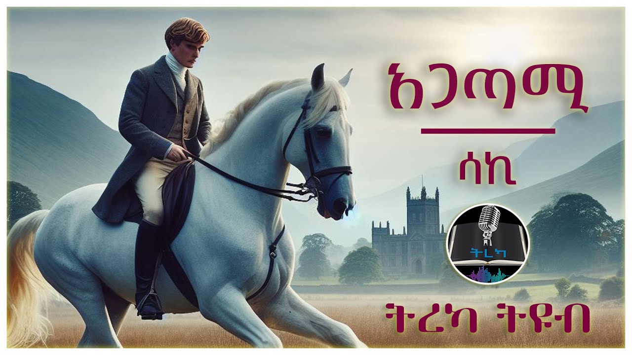 ትረካ ፡ አጋጣሚ - ሳኪ - Amharic Audiobook - Ethiopia 2024 #tereka