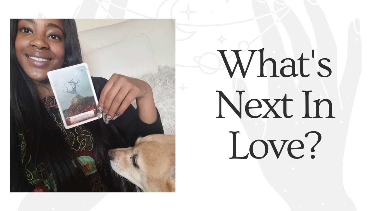 Pick A Card: What's Next In Love? Timeless Tarot Reading - YouTube