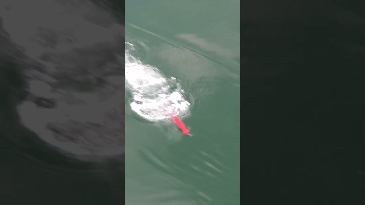 デプス.エアストリーマーのバブル