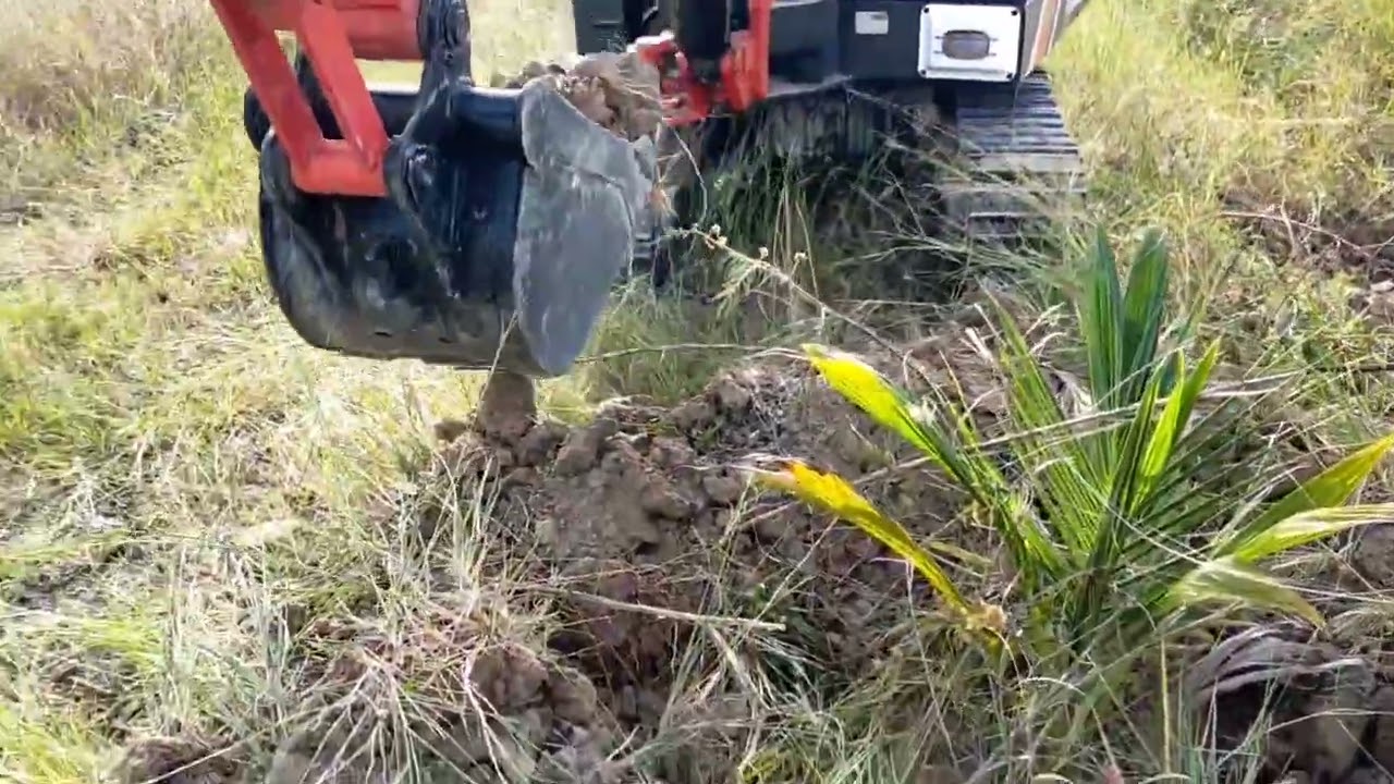 កូនAអ៊ិចធ្វើមកស្មៅចំការម្ដង