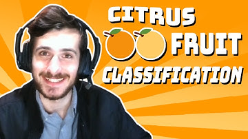 Simple Citrus Fruit Classification - Data Every Day #096