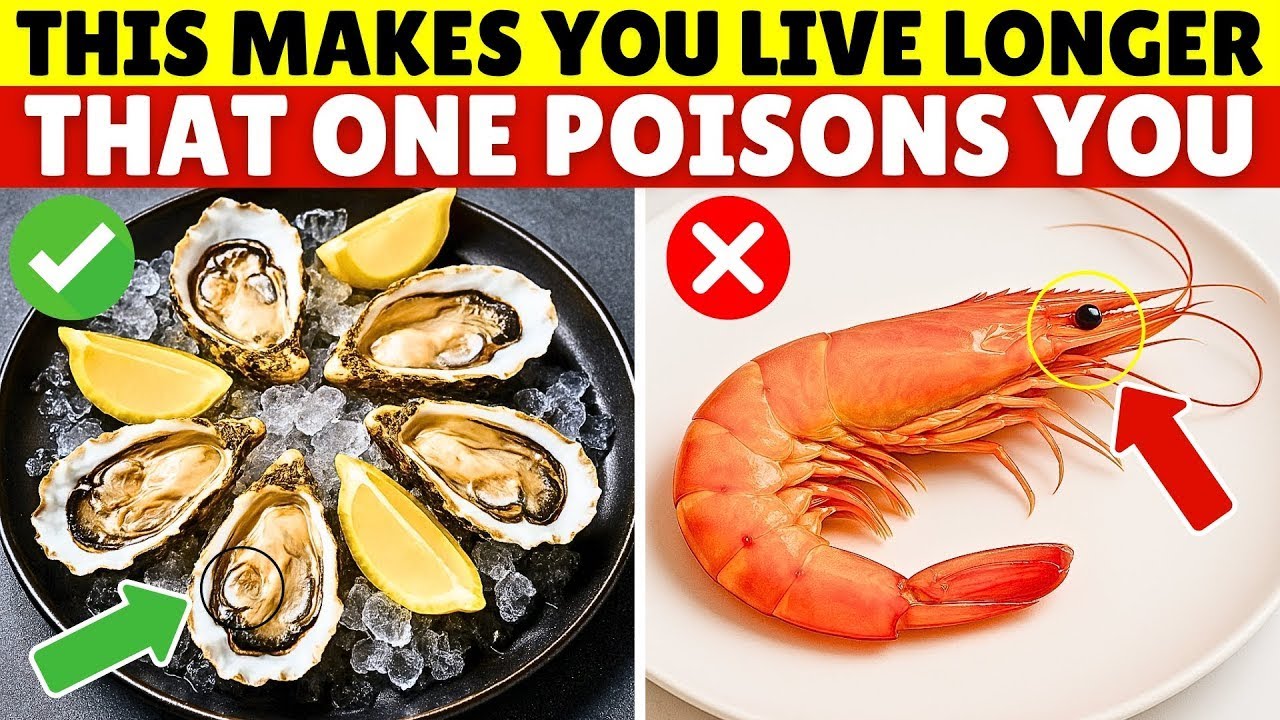 Over 60 4 DANGEROUS Seafoods You Should NEVER Touch and 4 You MUST Eat  Senior Health Tips