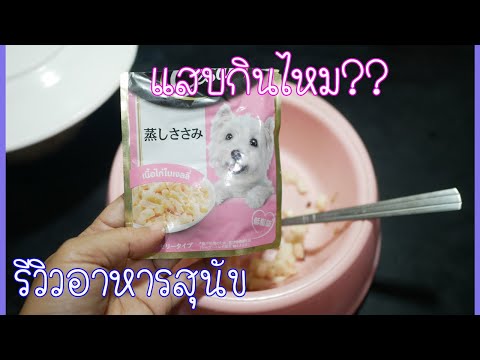 รีวิวอาหารสุนัขแบบเปียก ซีซาร์ รส แบบซอง รสเนื้อไก่ในเจลลี่จะอร่อยไหม??