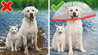 We Tested Viral Pet Gadgets To Keep Your Animals Save 🐾COOL Crafting Ideas & Gadgets by 123GO! Zoo