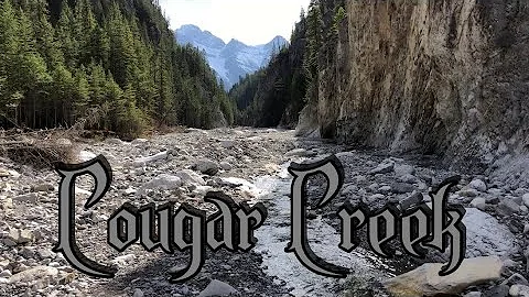 Rockies Day Hike #33: Cougar Creek out of Canmore 2019