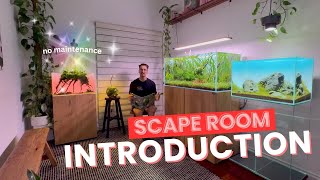 Scape Room Introduction - Setup and Maintenance