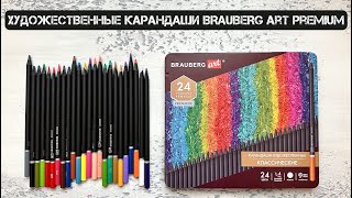 Обзор профессиональных художественных карандашей BRAUBERG ART PREMIUM