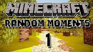 Pufferfish Transformation - Randomhatos Server - Minecraft Moments